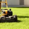 Whitfield's Lawn and Yard Services
